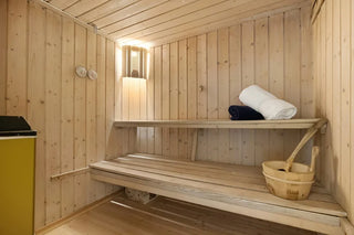 Understanding the "Dry Sauna" and the Role of Steam