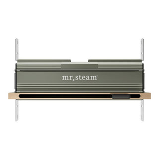 MrSteam Linear 16 in. W. Steamhead with AromaTherapy Reservoir - Brushed Bronze