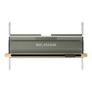 MrSteam Linear 16 in. W. Steamhead with AromaTherapy Reservoir - Polished Brass