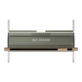 MrSteam Linear 16 in. W. Steamhead with AromaTherapy Reservoir - Polished Gold