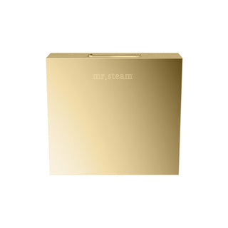 MrSteam Designer 3 in. Steamhead with AromaTherapy Reservoir in Square - Polished Brass