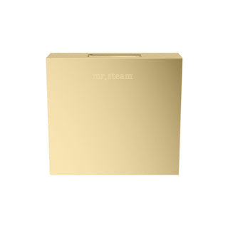 MrSteam Designer 3 in. Steamhead with AromaTherapy Reservoir in Square - Satin Brass