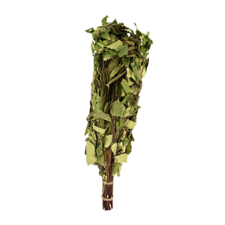 Birch/Eucalyptus Whisk with dried leaves