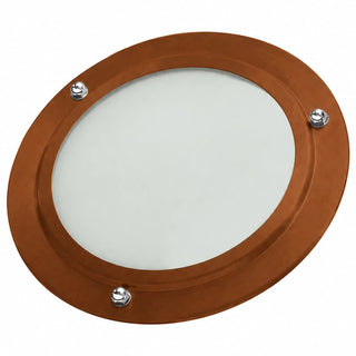 ThermaSol In-Shower Light