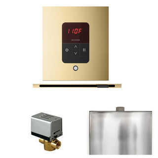 MrSteam Basic Butler Steam Shower Control Package with Square iTempo Control and Linear Steamhead - Polished Brass