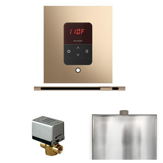 MrSteam Basic Butler Steam Shower Control Package with Square iTempo Control and Linear Steamhead - Polished Gold