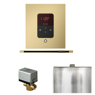 MrSteam Basic Butler Steam Shower Control Package with Square iTempo Control and Linear Steamhead - Satin Brass