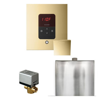 MrSteam Basic Butler Steam Shower Control Package with Square iTempo Control and Steamhead - Polished Brass