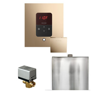 MrSteam Basic Butler Steam Shower Control Package with Square iTempo Control and Steamhead - Polished Gold