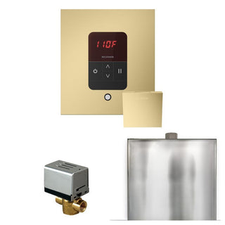 MrSteam Basic Butler Steam Shower Control Package with Square iTempo Control and Steamhead - Satin Brass