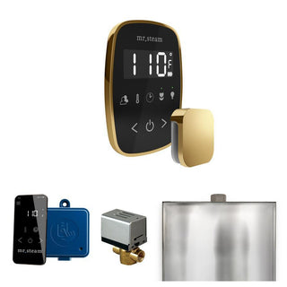 MrSteam ButlerFlex Steam Shower Control Package with TempoFlex Control and Steamhead in Black Brushed Bronze - Black - Polished Brass