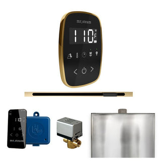 MrSteam ButlerFlex Steam Shower Control Package with TempoFlex Control and Linear Steamhead - Black - Polished Brass