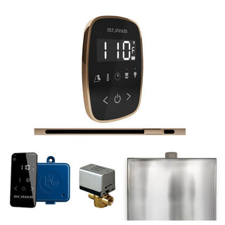 MrSteam ButlerFlex Steam Shower Control Package with TempoFlex Control and Linear Steamhead - Black - Polished Gold