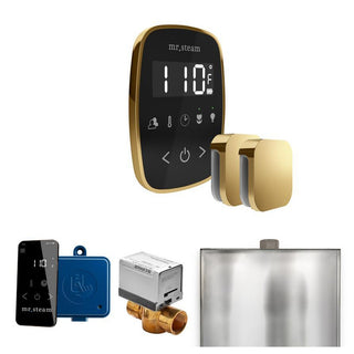 MrSteam ButlerFlex Max Steam Shower Control Package with TempoFlex Control and Steamhead - Black - Polished Brass