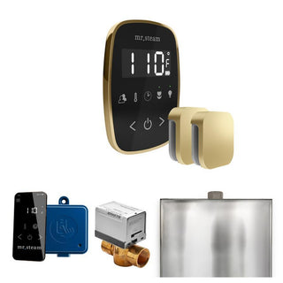 MrSteam ButlerFlex Max Steam Shower Control Package with TempoFlex Control and Steamhead - Black - Satin Brass