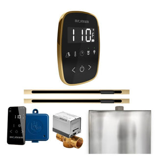 MrSteam ButlerFlex Max Steam Shower Control Package with TempoFlex Control and Linear Steamhead - Black - Polished Brass