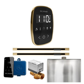 MrSteam ButlerFlex Max Steam Shower Control Package with TempoFlex Control and Linear Steamhead - Black - Satin Brass