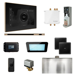 MrSteam Bliss Steam Shower Control Package with iSteamX Control and Linear Steamhead - Black - Polished Gold
