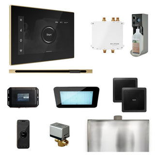 MrSteam Bliss Steam Shower Control Package with iSteamX Control and Linear Steamhead - Black - Satin Brass
