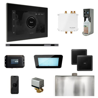 MrSteam Bliss Steam Shower Control Package with iSteamX Control and Linear Steamhead - Black - Satin Steel