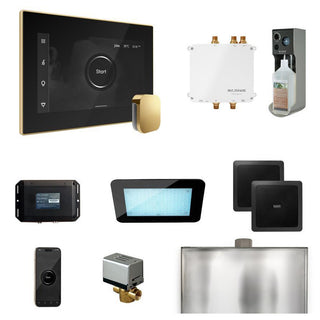 MrSteam Bliss Steam Shower Control Package with iSteamX Control and Steamhead - Black - Polished Brass