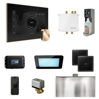MrSteam Bliss Steam Shower Control Package with iSteamX Control and Steamhead - Black - Polished Gold