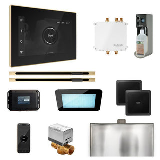 MrSteam Bliss Max Steam Shower Control Package with iSteamX Control and Linear Steamhead - Black - Polished Brass
