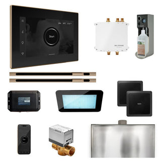 MrSteam Bliss Max Steam Shower Control Package with iSteamX Control and Linear Steamhead - Black - Polished Gold