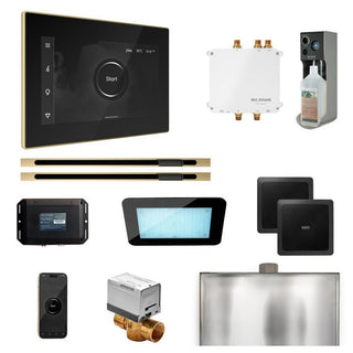 MrSteam Bliss Max Steam Shower Control Package with iSteamX Control and Linear Steamhead - Black - Satin Brass