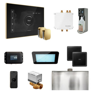 MrSteam Bliss Max Steam Shower Control Package with iSteamX Control and Steamhead - Black - Polished Brass