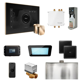 MrSteam Bliss Max Steam Shower Control Package with iSteamX Control and Steamhead - Black - Polished Gold
