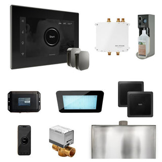 MrSteam Bliss Max Steam Shower Control Package with iSteamX Control and Steamhead - Black - Satin Steel