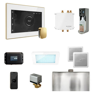 MrSteam Bliss Steam Shower Control Package with iSteamX Control and Steamhead - White - Polished Brass