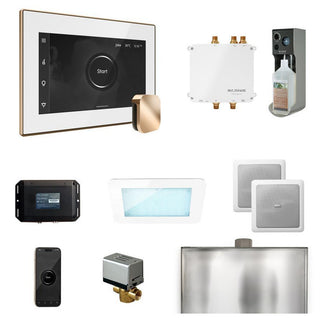 MrSteam Bliss Steam Shower Control Package with iSteamX Control and Steamhead - White - Polished Gold