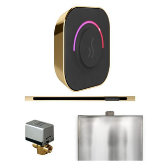 MrSteam ButlerTouch Steam Shower Control Package with TempoTouch Control and Linear Steamhead - Polished Brass