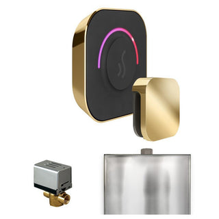 MrSteam ButlerTouch Steam Shower Control Package with TempoTouch Control and Steamhead - Polished Brass