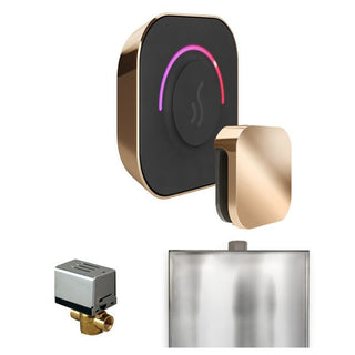 MrSteam ButlerTouch Steam Shower Control Package with TempoTouch Control and Steamhead - Polished Gold