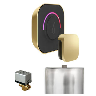 MrSteam ButlerTouch Steam Shower Control Package with TempoTouch Control and Steamhead - Satin Brass