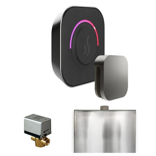 MrSteam ButlerTouch Steam Shower Control Package with TempoTouch Control and Steamhead - Satin Steel