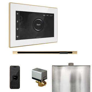 MrSteam MS xButler Linear Steam Shower Package