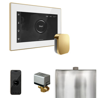 MrSteam MS xButler Standard Steam Shower Package