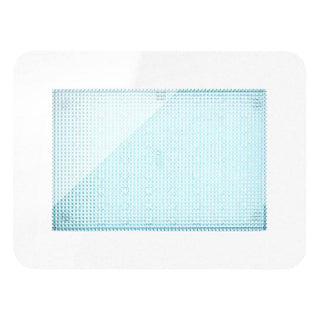 MrSteam ChromaTherapy Light with 12.62 in. LED Clusters - White