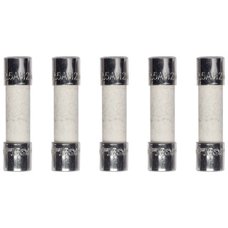 2.5Ah Ceramic Fuse for power supply (Pack of 5) | Finlandia / Harvia