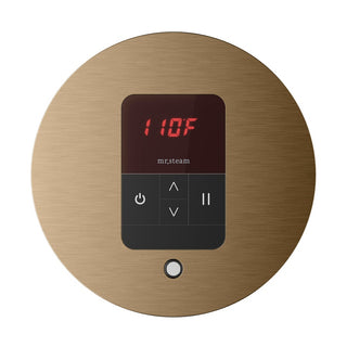 MrSteam iTempo Steam Shower Control and Steamhead