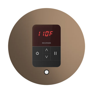 MrSteam iTempo Steam Shower Control and Steamhead