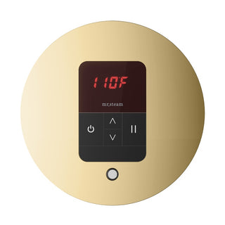 MrSteam iTempo Steam Shower Control and Steamhead