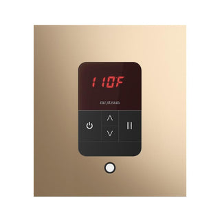 MrSteam iTempo Steam Shower Control and Steamhead - Square in Polished Gold