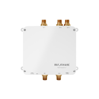 Spa H2O Electronic Shower Valve | Mr. Steam