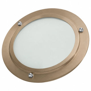 ThermaSol In-Shower Light