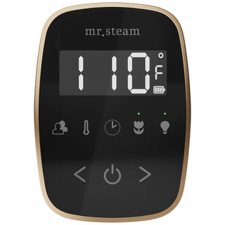 MrSteam TempoFlex Wireless Steam Shower Control with AromaSteam Steamhead